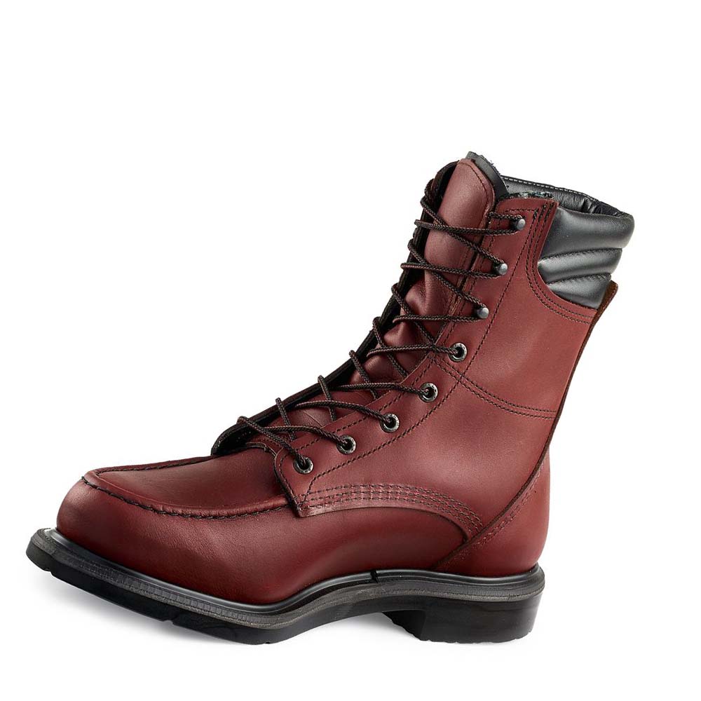 Red Wing SuperSole® 8-inch CSA Soft Toe Men's Work Boots Burgundy | ZA 84UZG